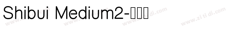 Shibui Medium2字体转换